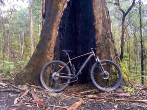 Forrest MTB Hire